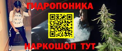 амф Шахты
